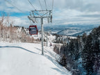 Ski Bike Rental - Mountain Village