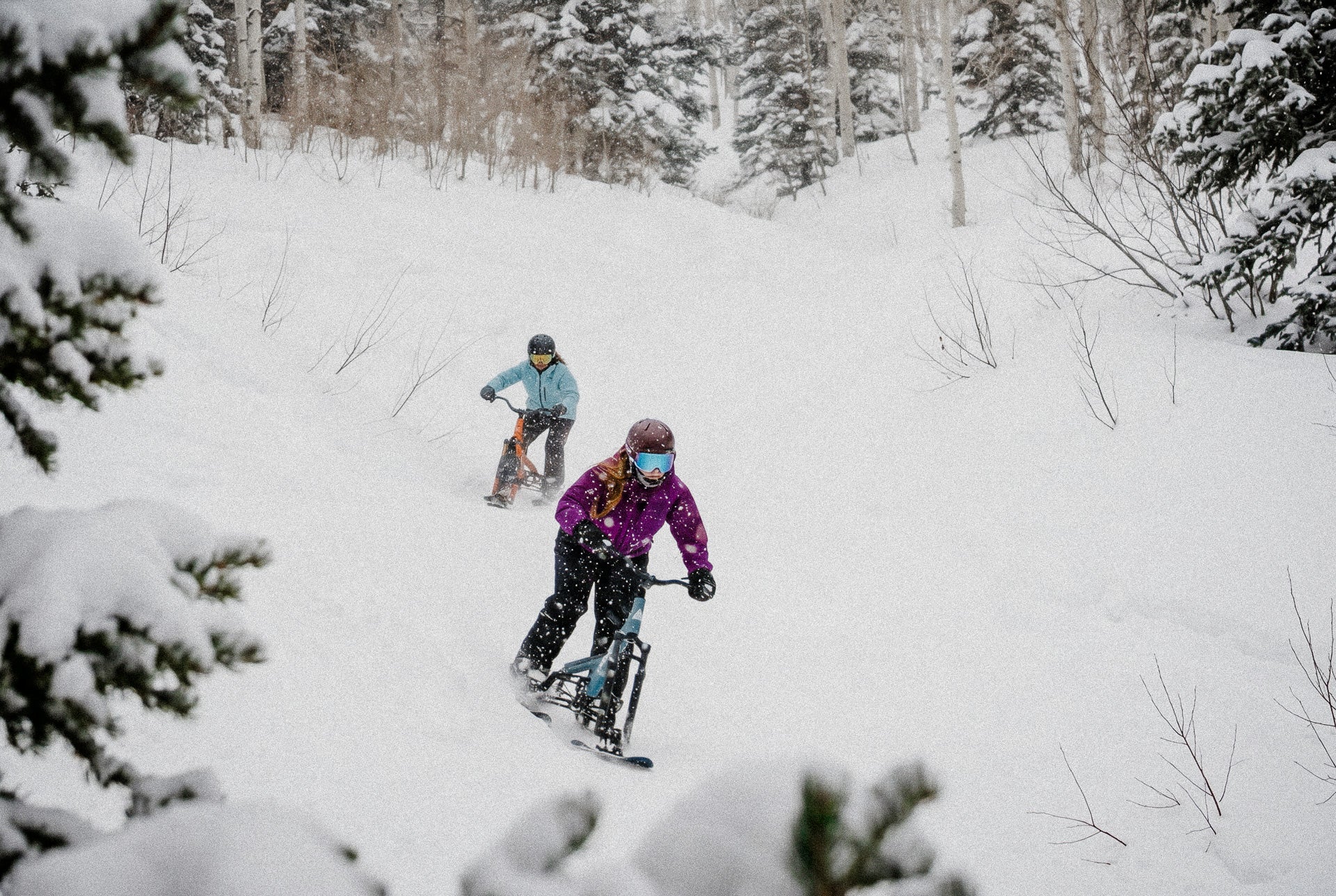 Ski Bike Rental - Custom Delivery