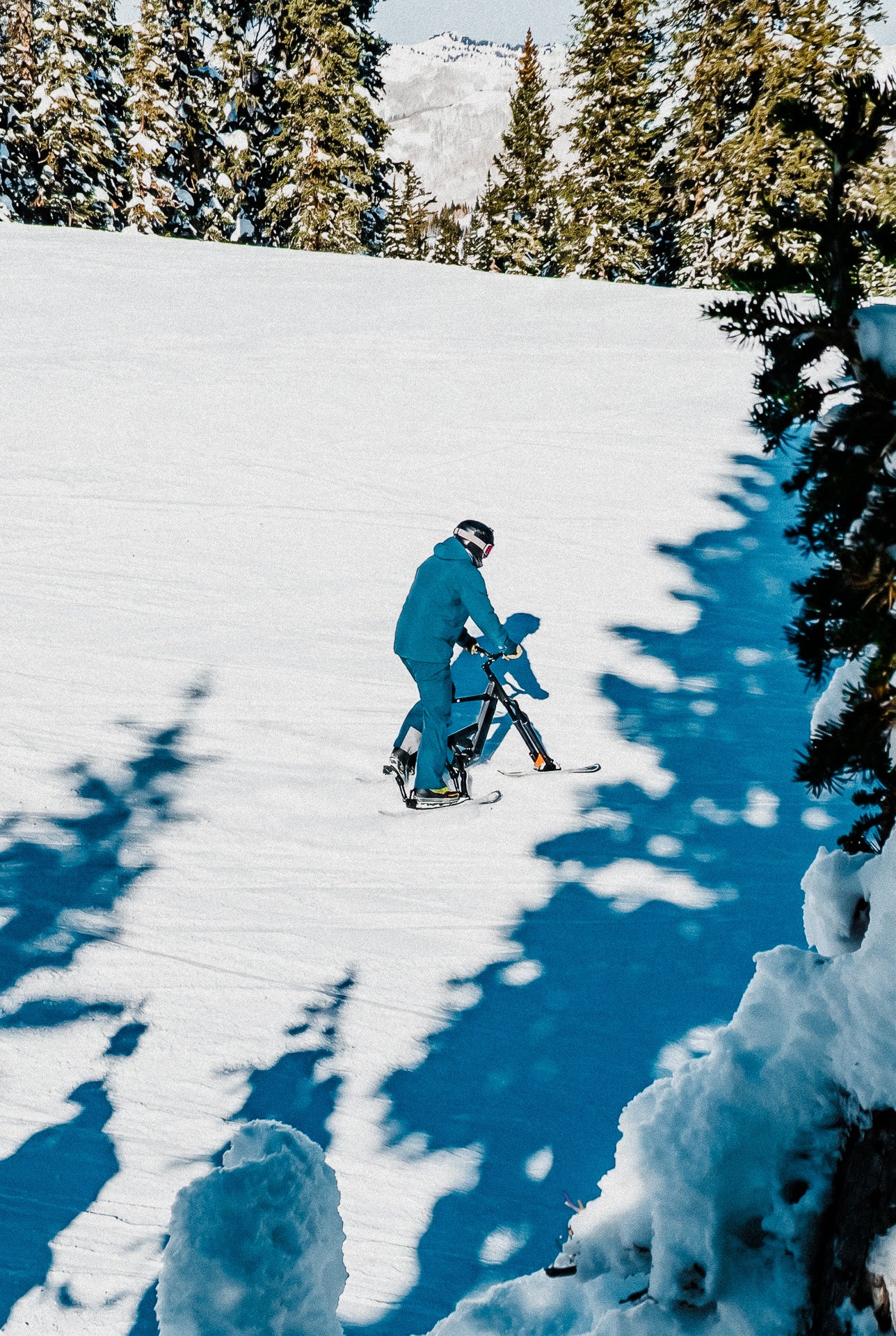 Ski Bike Rental - Custom Delivery