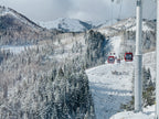 Ski Bike Rental - Sunrise Gondola