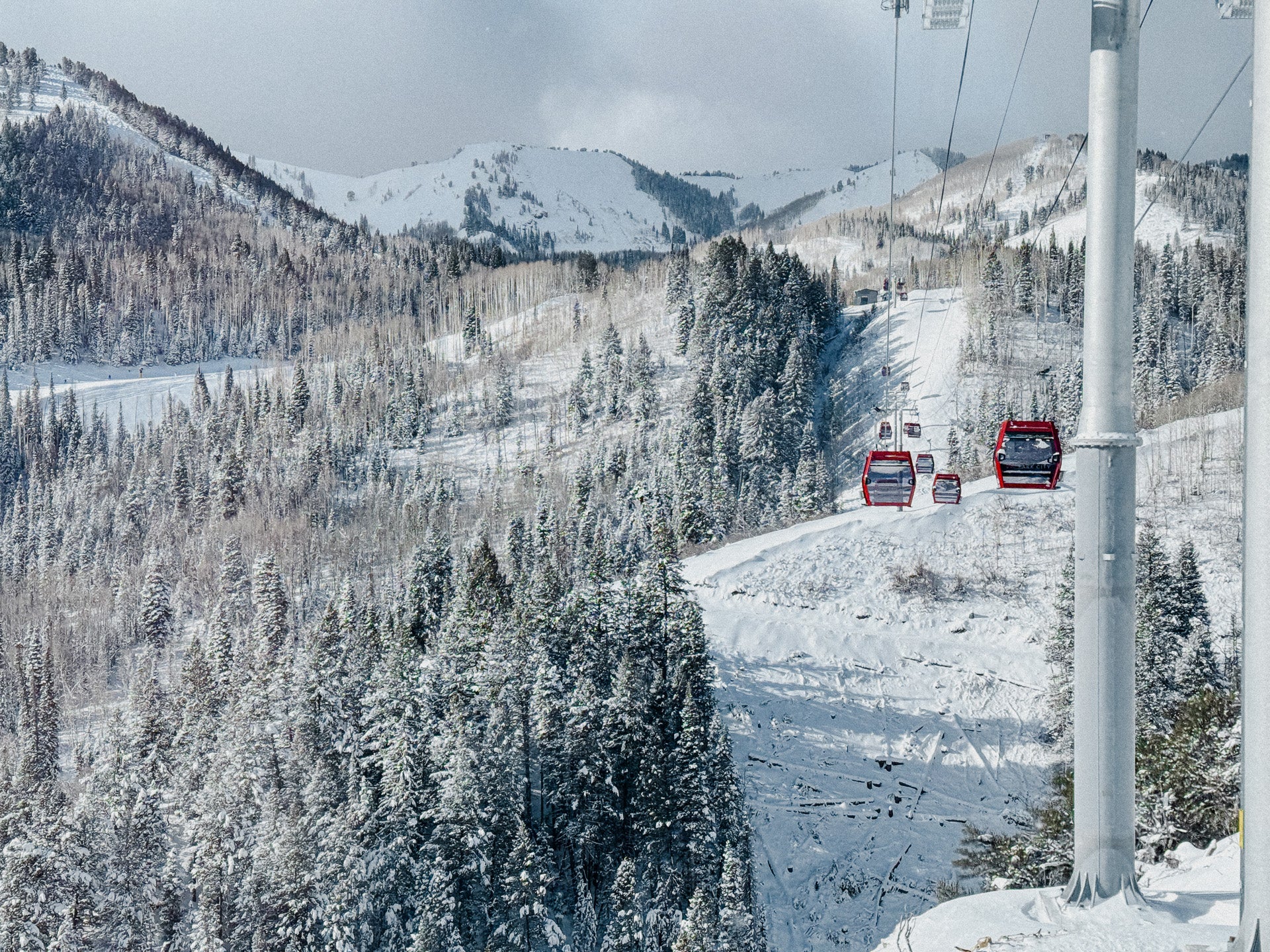 Ski Bike Rental - Sunrise Gondola
