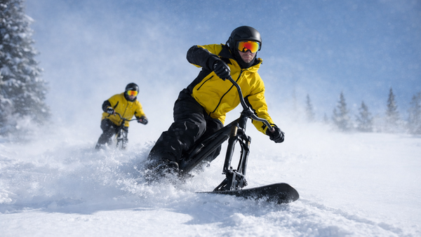 Type II (Skibike)